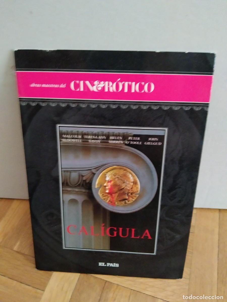 pelicula dvd cine erótico caligula tinto brass - Compra venta en  todocoleccion