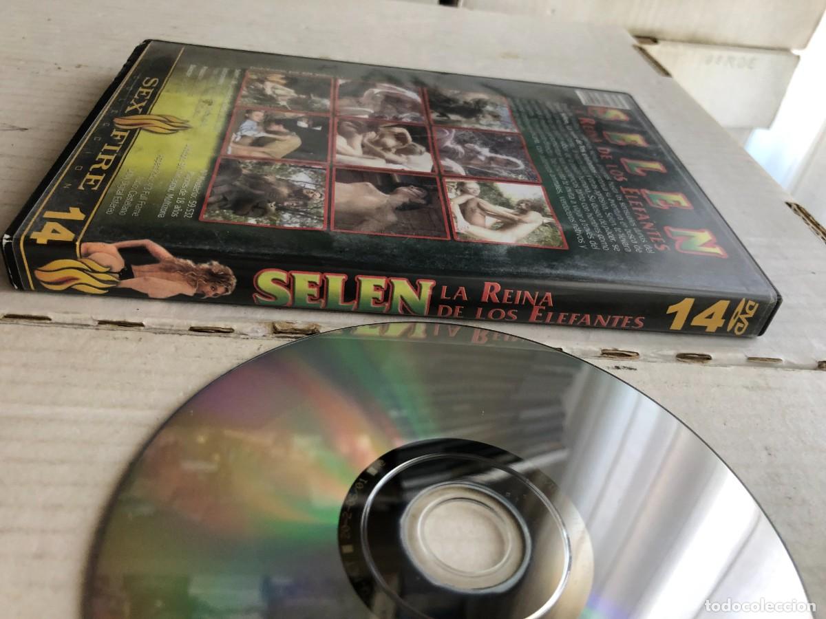 selen la reina de los elefantes sexfire - dvd a - Acheter Films pour  adultes sur todocoleccion