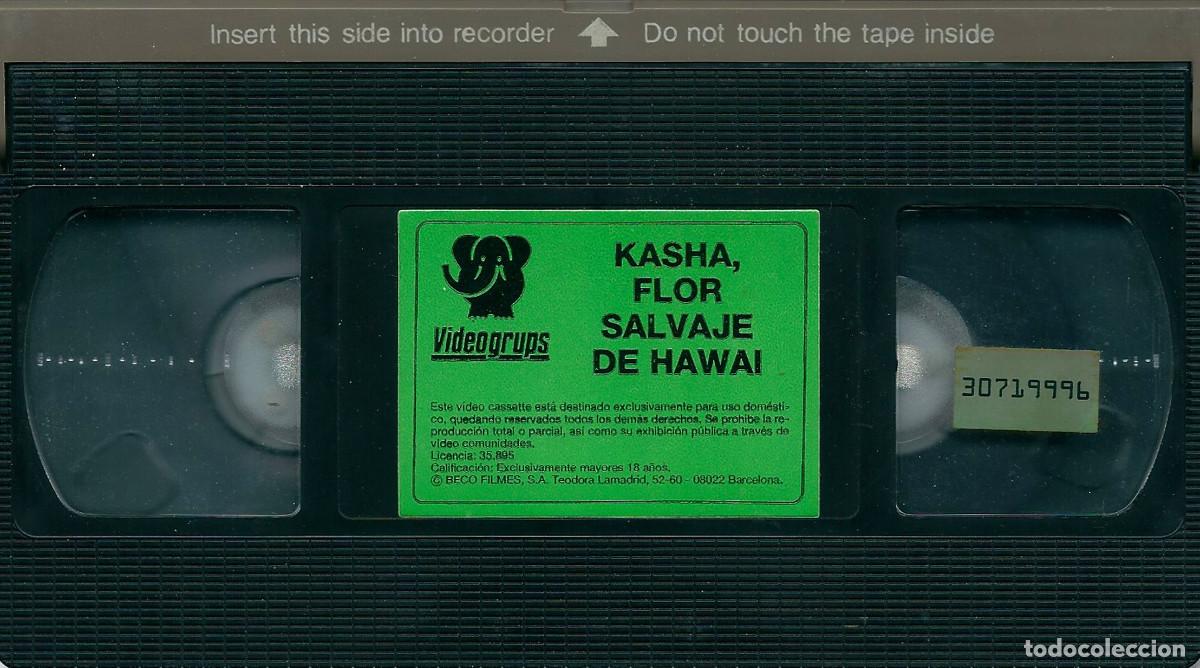 Peliculas: KASHA FLOR SALVAJE DE HAWAI KASCHA TRINITY LOREN BIONCA STEPHANIE RAGE TREASURE 88 CINTA SUELTA VHS