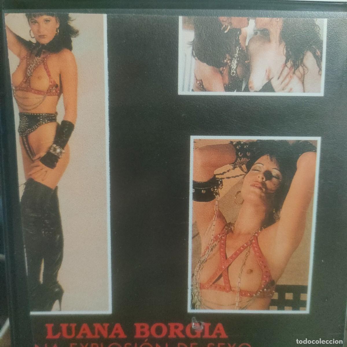 la chica mas perversa - vhs - luana borgia, she - Buy Movies for adults on  todocoleccion