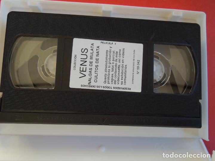 Filme: NALGAS DE MULATA , CULITOS DE NATA - REX BORSKY - CINTA VHS PORNO SOLO PARA ADULTOS