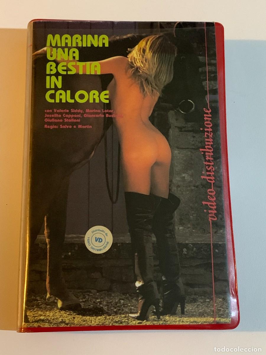 Peliculas: MARINA UNA BESTIA IN CALORE MARINA LOTAR VHS PAL VD 505 ANAL ORAL HOMOSEX ANIMAL
