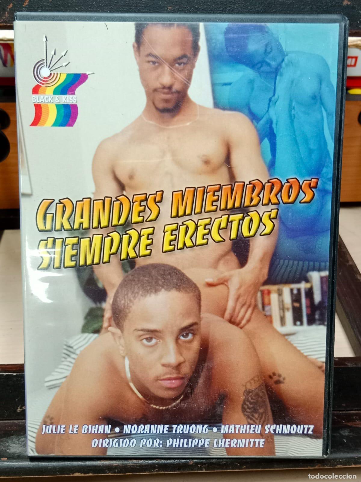Films: grandes miembros siempre erectos dvd x porno gay