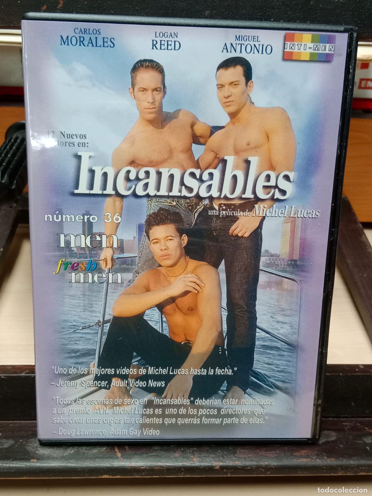 incansables de michel lucas dvd x porno gay - Compra venta en todocoleccion