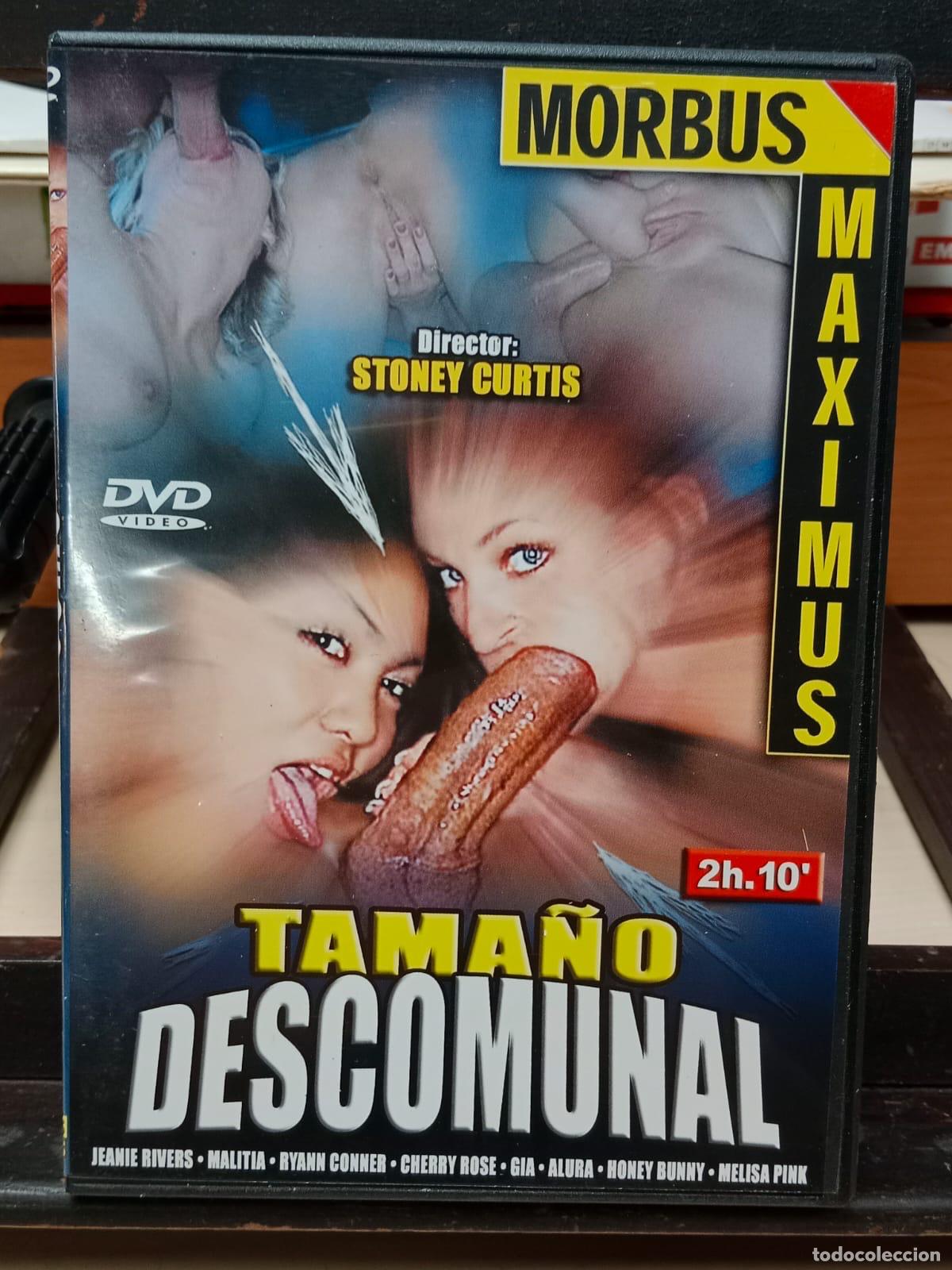 Films: dvd porno morbus maximus tama&ntilde;o descomunal