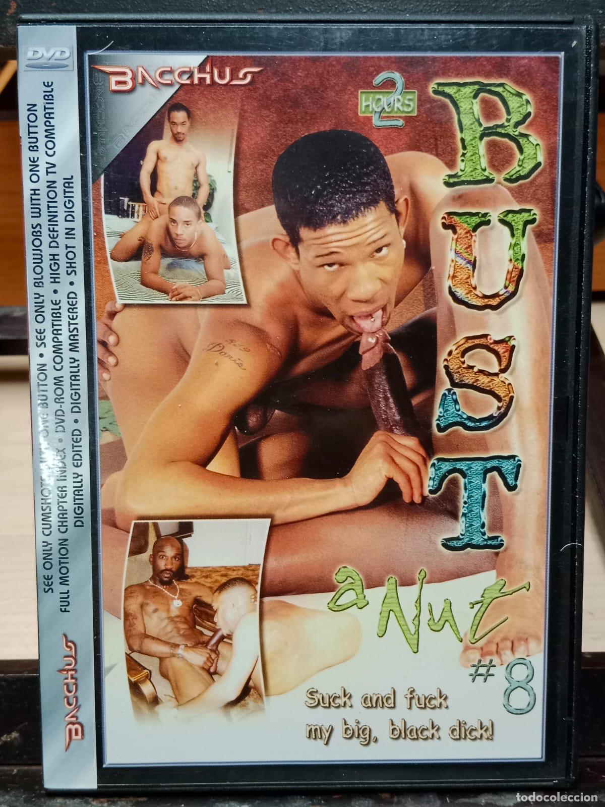 dvd porno bust a nut porno gay - Compra venta en todocoleccion