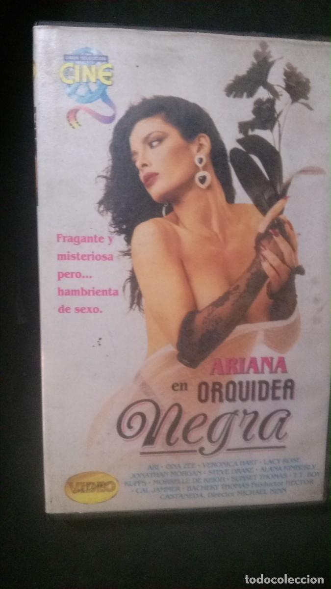 vhs porno-ariana en orquídea negra-ona zee-vero - Buy Movies for adults on  todocoleccion