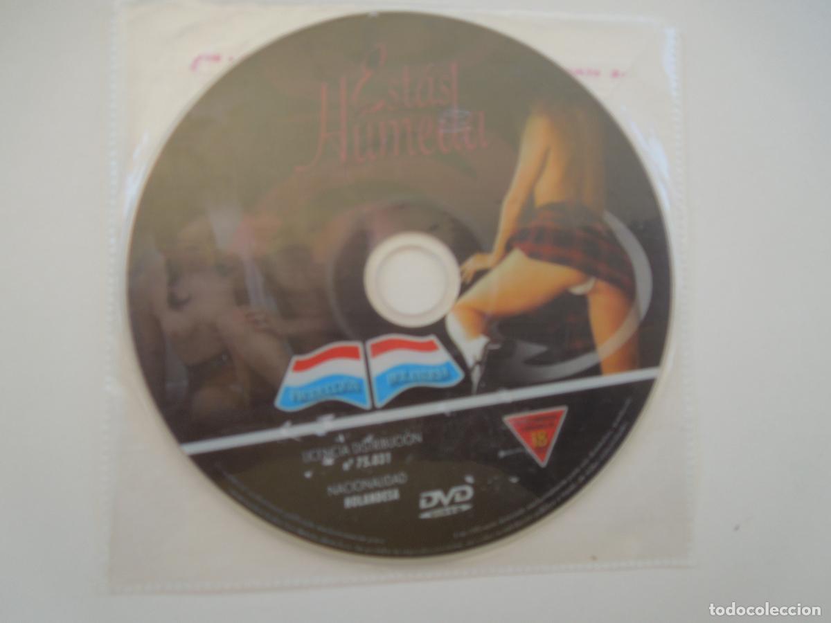 Filme: EST&Aacute;S HUMEDA - DVD PORNO SOLO PARA ADULTOS