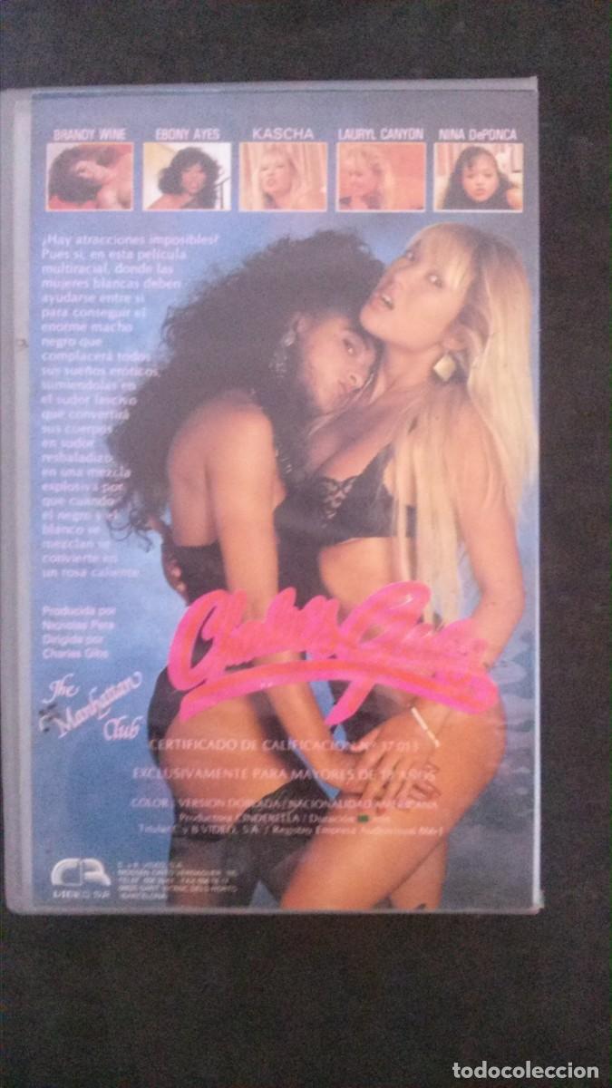 vhs porno-charlie´s girls 1-kascha-brandy wine- - Compra venta en  todocoleccion