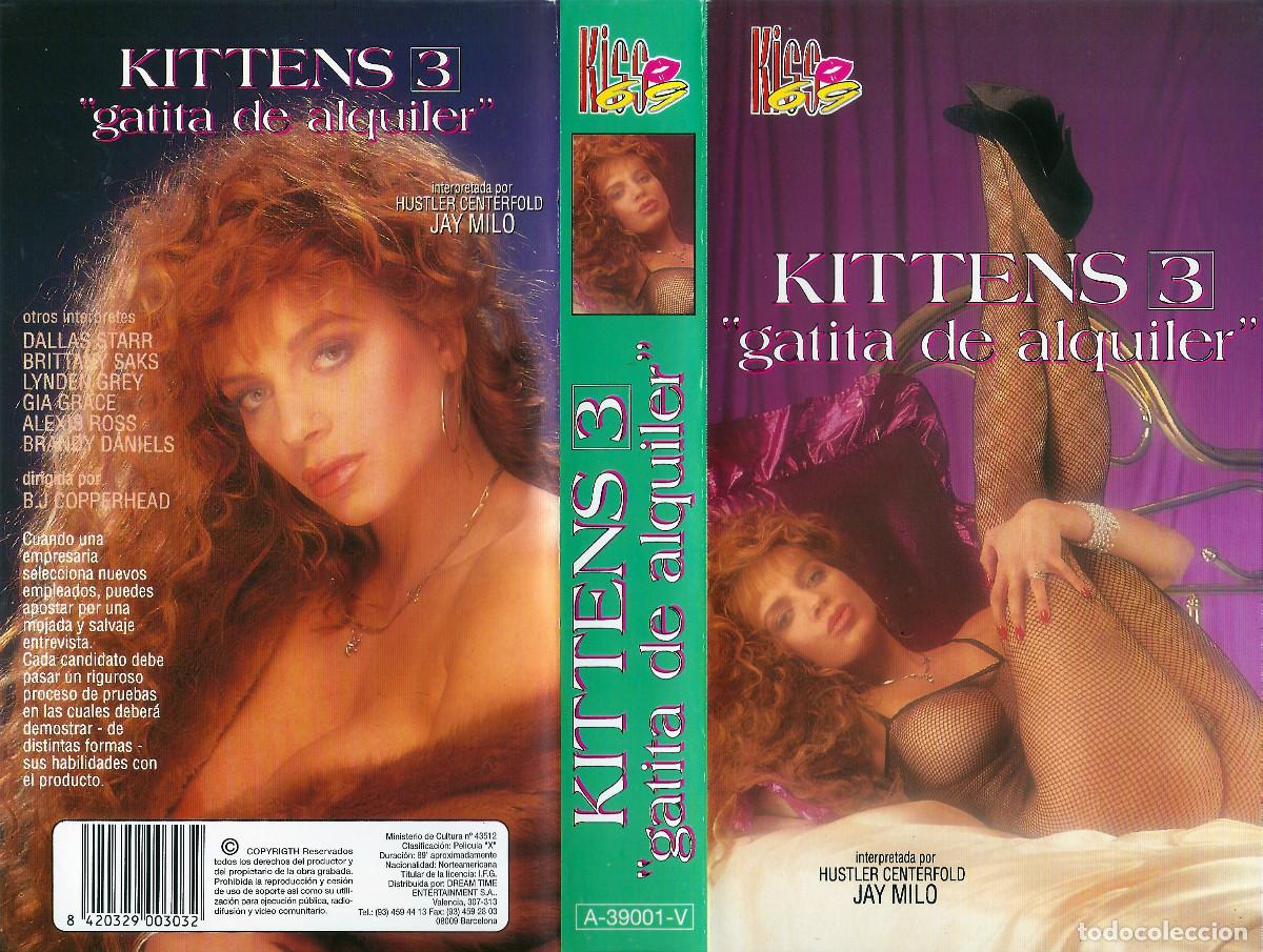 Peliculas: KITTENS 3 GATITA DE ALQUILER JAYE MILO BRITTANY SAKS GIA LUCCI LYNDEN GREY ALEXIS ROSS BRANDY XX VHS