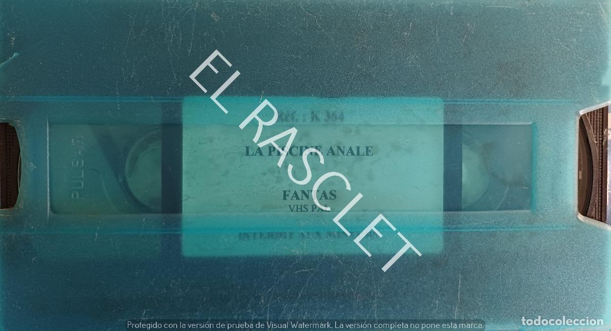 Peliculas: PELICULA EN VHS - PARA ADULTOS - LA PISCINE ANALE - FANTAS -VHS - PAL -