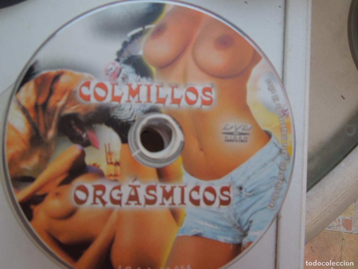 Peliculas: COLMILLOS ORGASMICOS - DVD PORNO SOLO PARA ADULTOS - SOLO DVD - VER FOTO