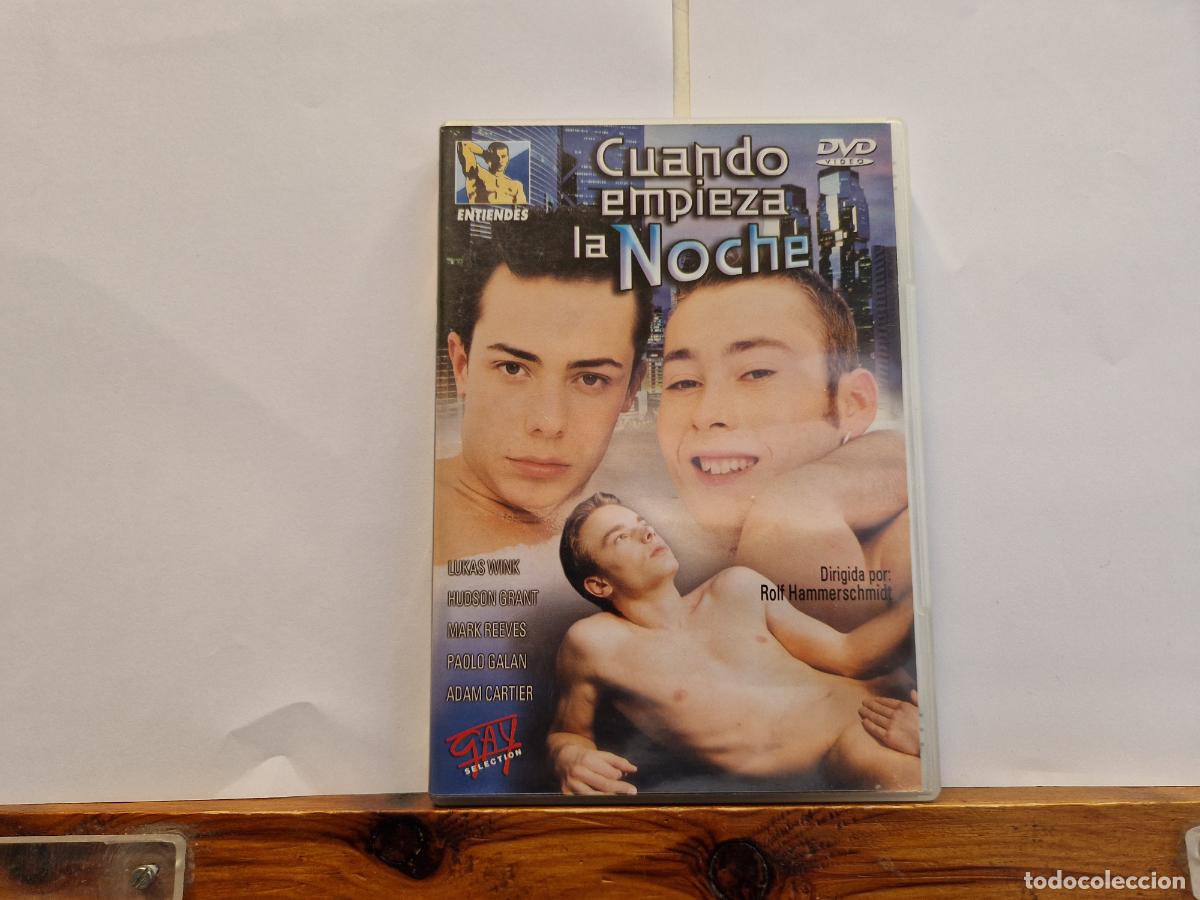 Peliculas: DVD. CONTENIDO PARA ADULTOS. CUANDO EMPIEZA LA NOCHE.