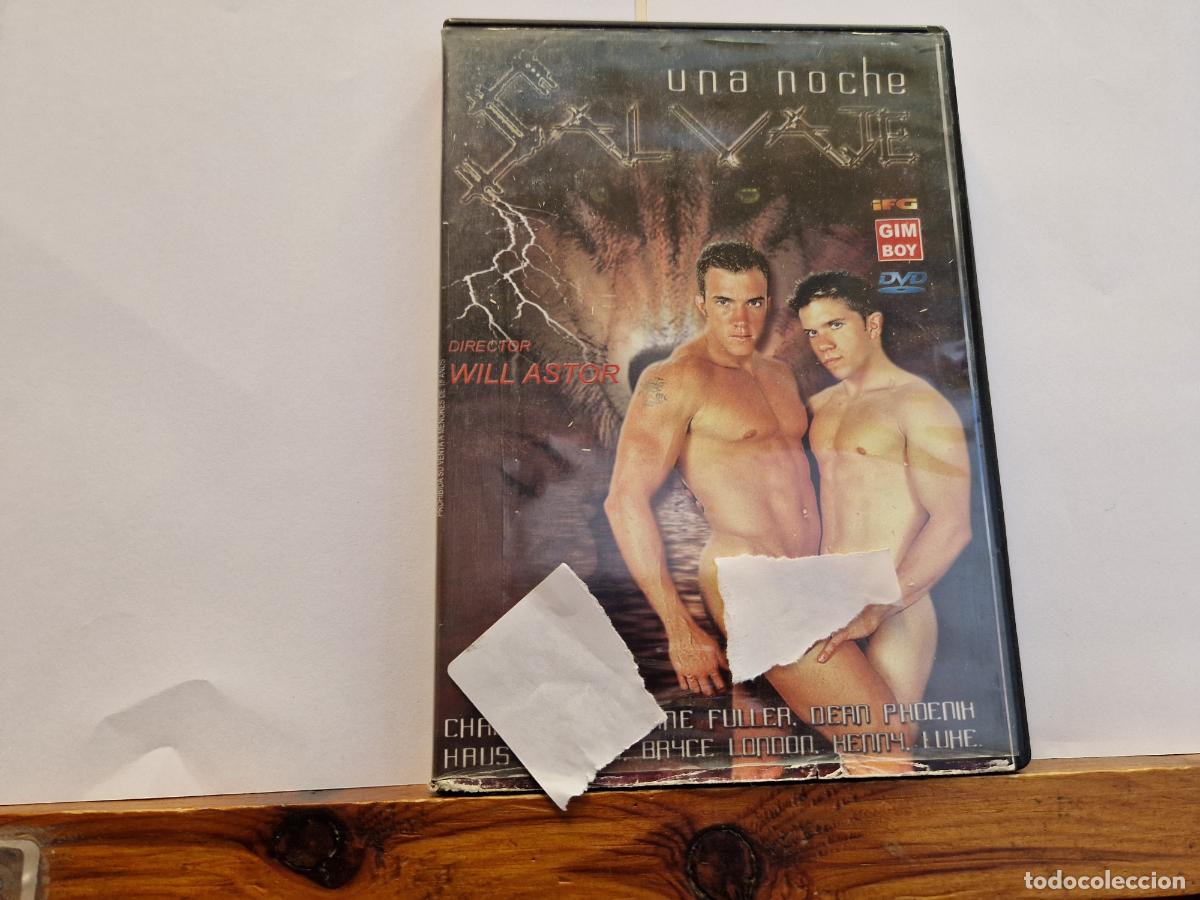 Peliculas: DVD. CONTENIDO PARA ADULTOS. UNA NOCHE. DIRECTOR WILL ASTOR.