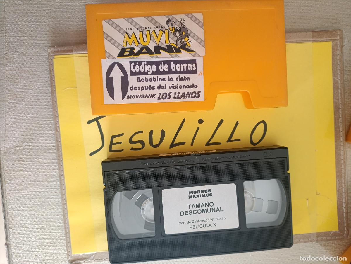 Films: PELICULA X PORNO VHS DE VIDEOCLUB MORBUS MAXIMUS TAMA&Ntilde;O DESCOMUNAL