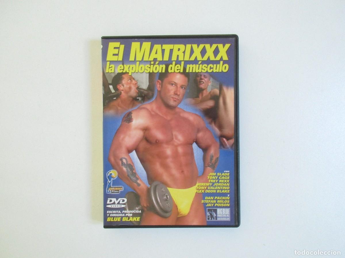Peliculas: EL MATRIXXX - LA EXPLOSI&Oacute;N DEL M&Uacute;SCULO - CINE PARA ADULTOS - PORNO GAY