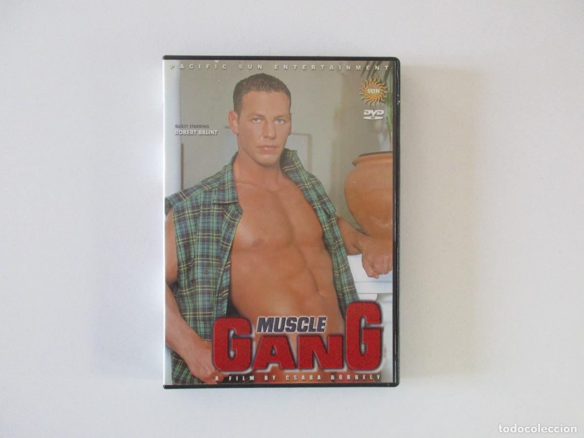 Peliculas: MUSCLE GANG - ROBERT BALINT - CINE PARA ADULTOS - PORNO GAY