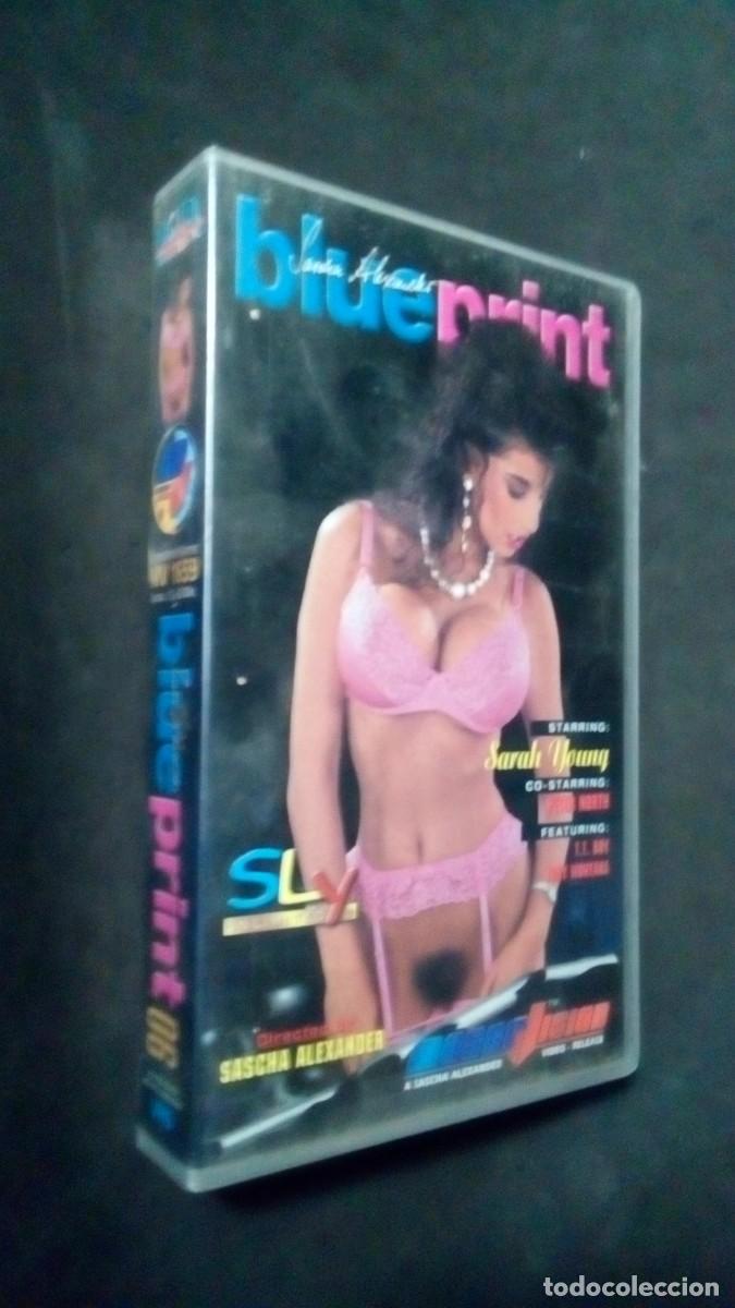 Peliculas: VHS X-BLUEPRINT-SASCHA ALEXANDER-SARAH YOUNG-PETER NORTH-T.T. BOY-TONY MONTANA