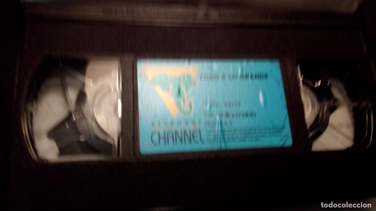 Peliculas: VHS X-TODO A LO GRANDE-ELEPHANT CHANNEL-SIN CAR&Aacute;TULA