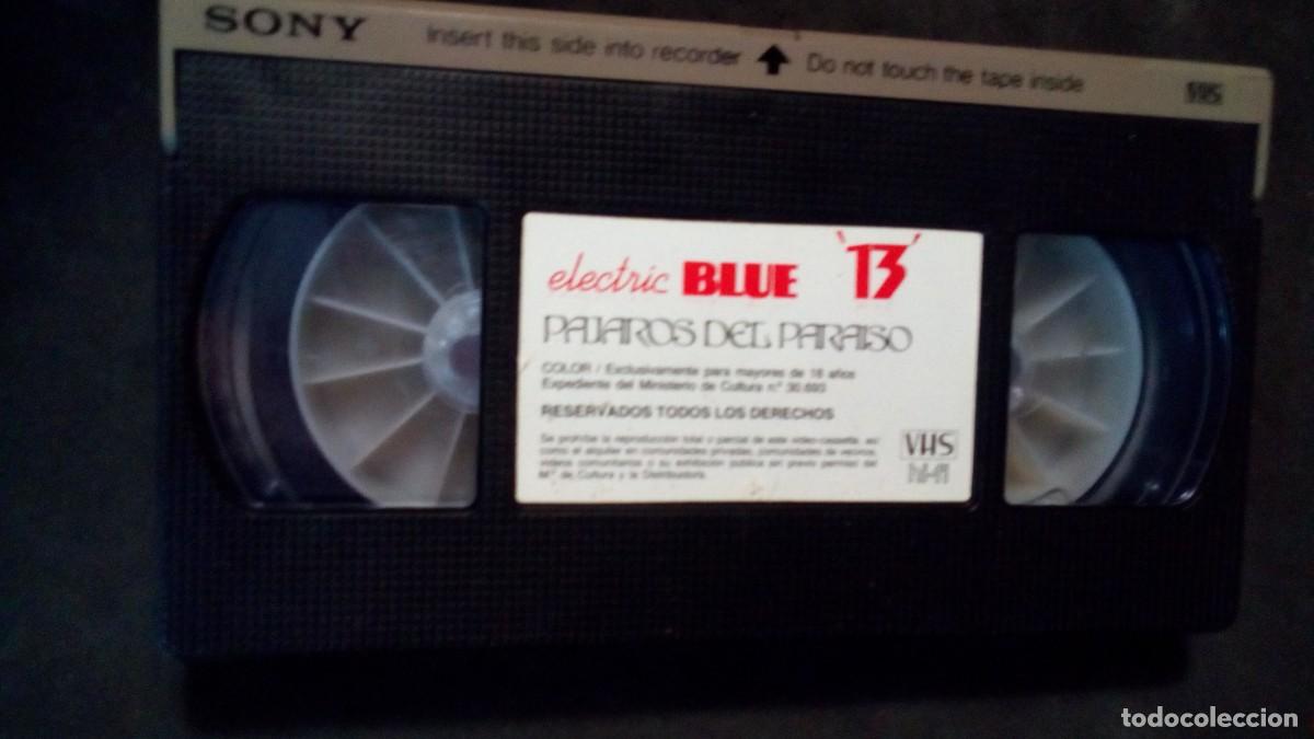 Peliculas: VHS-ELECTRIC BLUE 13-P&Aacute;JAROS DEL PARA&Iacute;SO-LYNDA CARTER-SIN CAR&Aacute;TULA