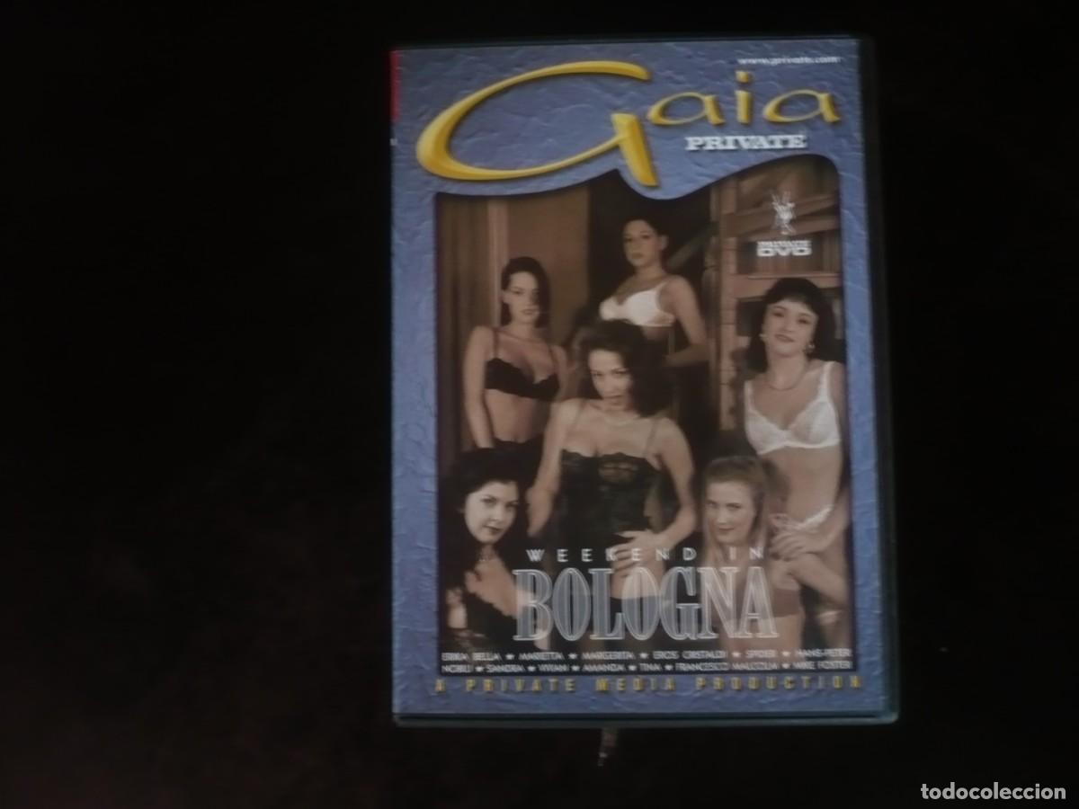 Peliculas: wekend in bologna - gaia private - dvd como nuevo