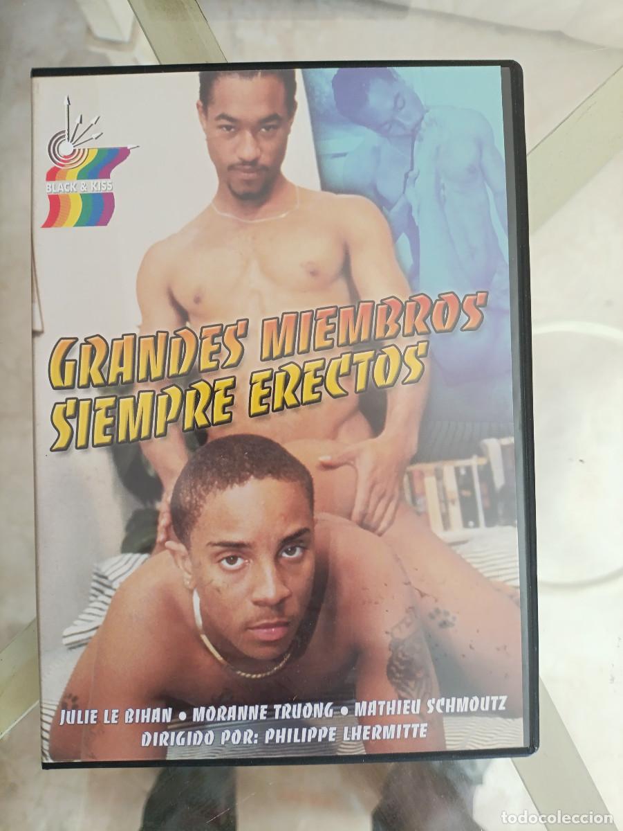 Films: DVD PORNO X GAY GRANDES MIEMBROS ERECTOS