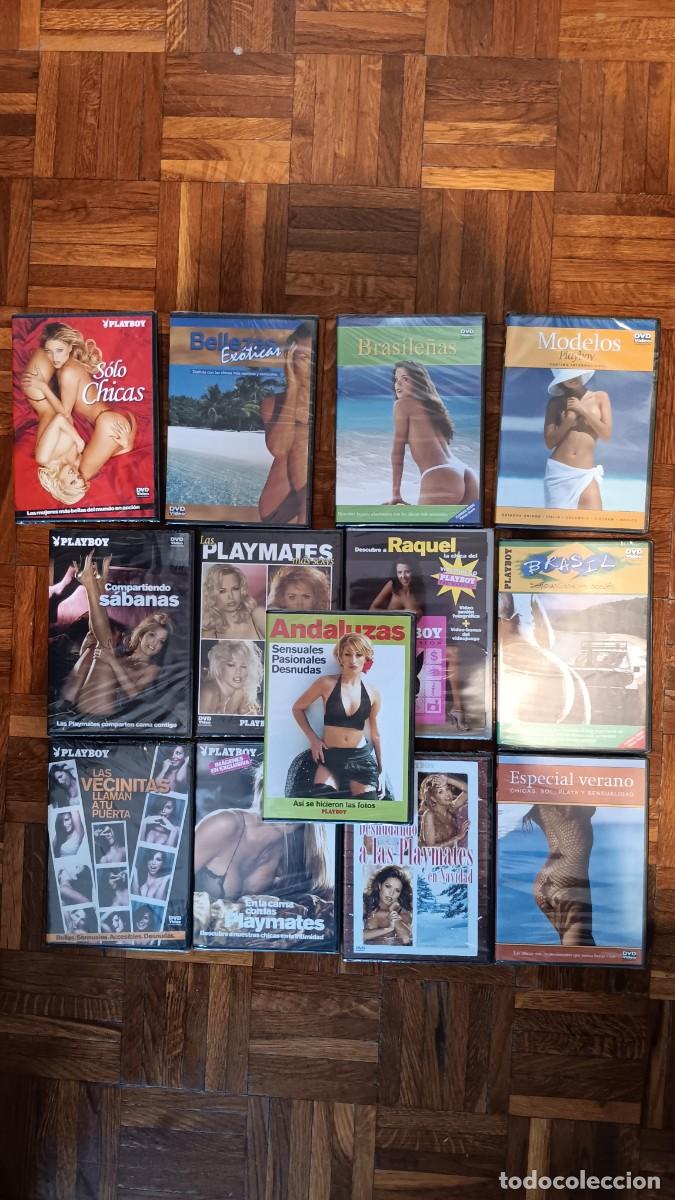Peliculas: Lote dvds precintados de playboy a&ntilde;os 2000