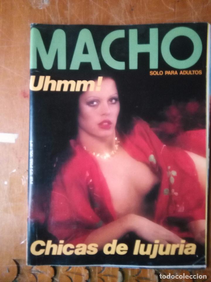 Revistas: REVISTA EROTICA MACHO VOL.1 N&ordm; 1, A&Ntilde;O 1979: ENTREVISTA A BIBI ANDERSEN LA PRIMERA REVISTA EDITADA