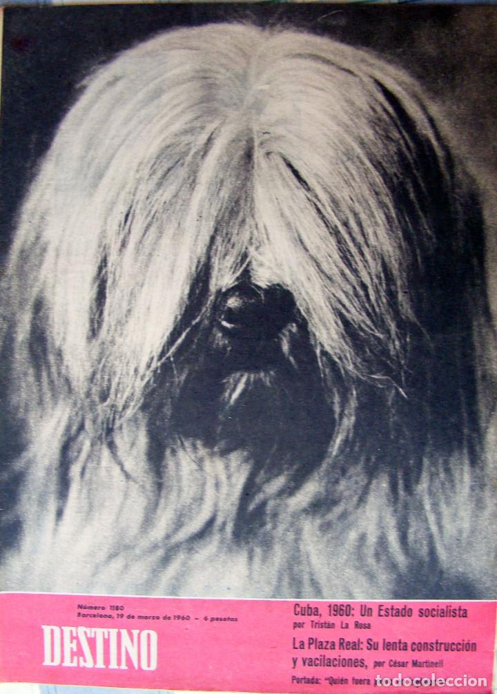 Zeitschriften: REVISTA DESTINO N&ordm; 1180 - 19 DE MARZO DE 1960