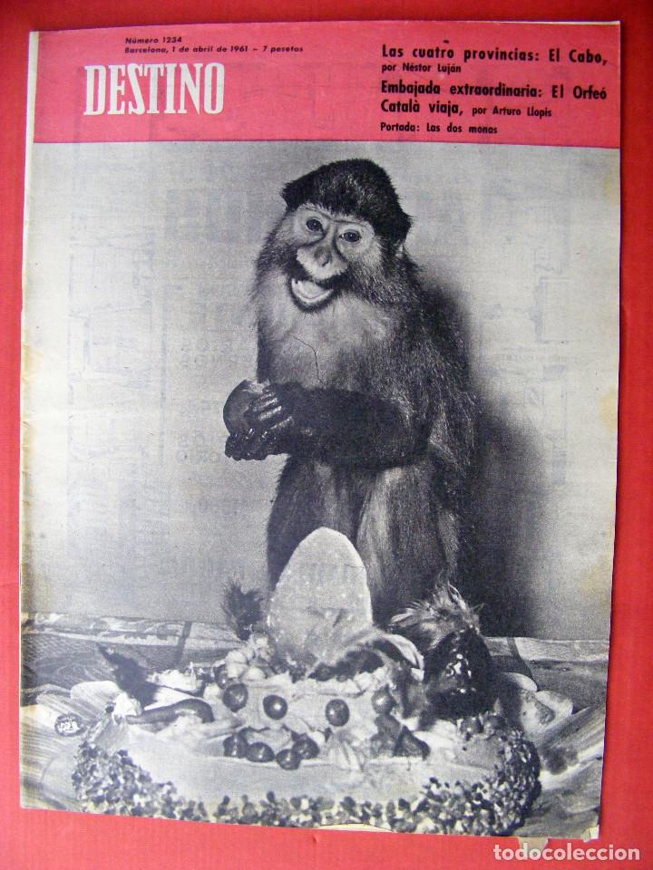 Zeitschriften: REVISTA DESTINO N&ordm; 1234 - 1 ABRIL DE 1961
