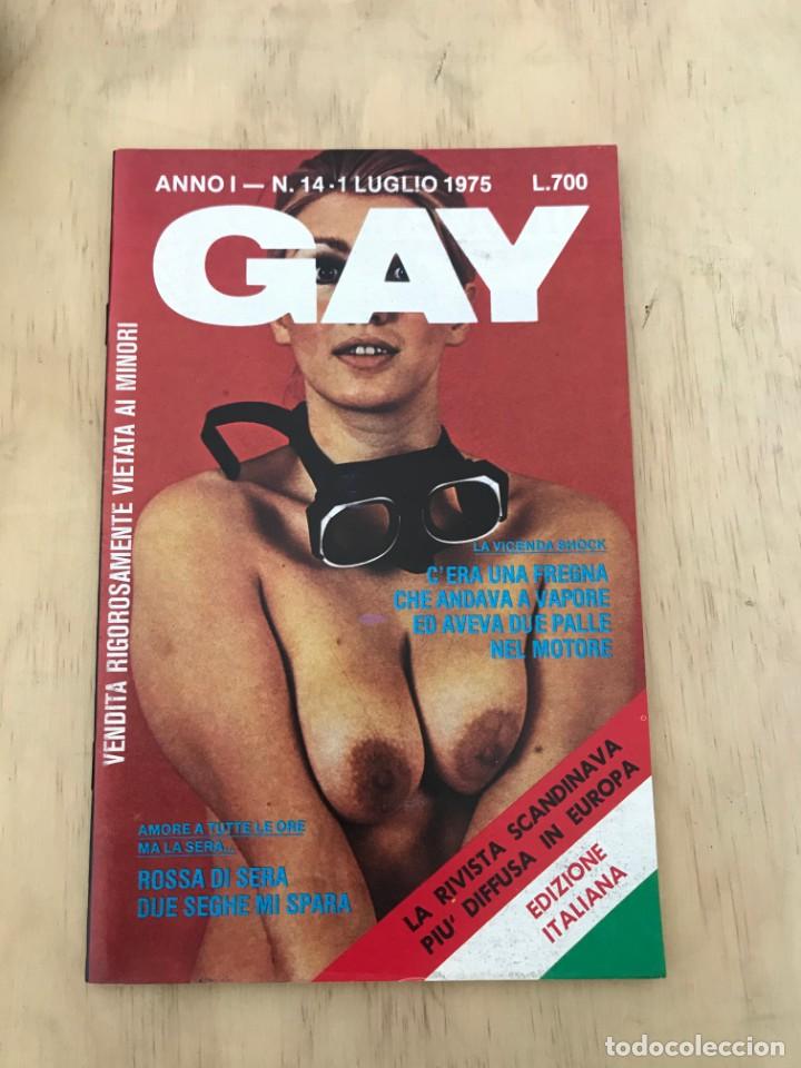 Journals: GAY VOL.1 N.14 VINTAGE EROTIC ITALIAN MAGAZINE