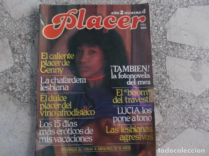 Journals: Placer n&ordm; 4, espa&ntilde;ola, revista er&oacute;tica solo para adultos,