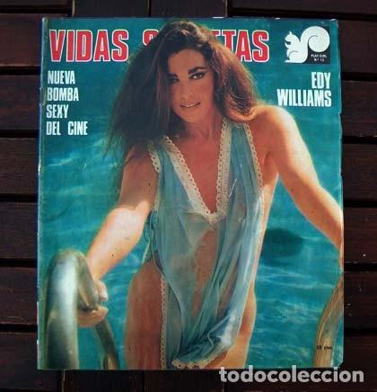 Journals: VIDAS SECRETAS N&ordm; 13 / EDY WILLIAMS / PLAYGIRL