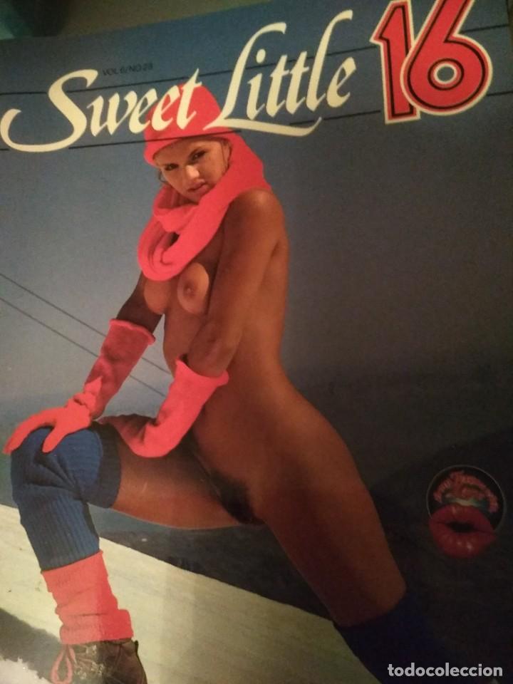 Revistas: Sweet little 16 vol 6 nr 23