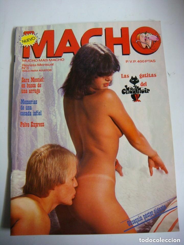 Zeitschriften: REVISTA DE MACHO N&ordm;-3 LAS GATITAS DEL CHATNOIR -(&)