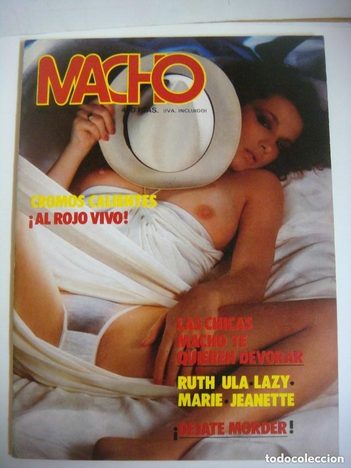Zeitschriften: REVISTA PARA ADULTOS DE MACHO VOL 7/73
