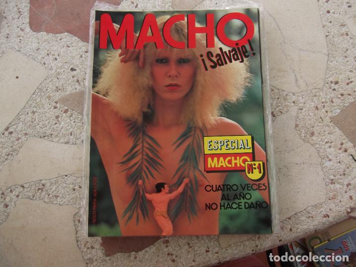 Revistas: especial macho n&ordm; 1, salvaje, cuatro veces al a&ntilde;o no hace da&ntilde;o