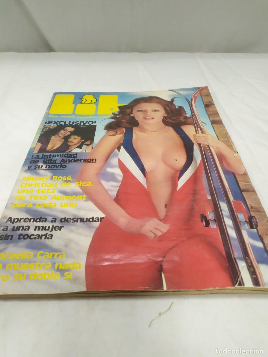 Journals: Revista LIB n&uacute;mero 69