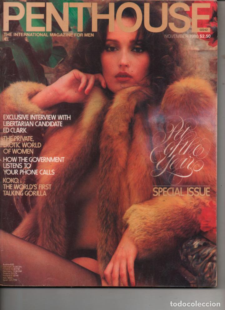 Journals: PENTHOUSE NOVEMBER 1980 BETSY DOBSON, ED CLARK, KOKO