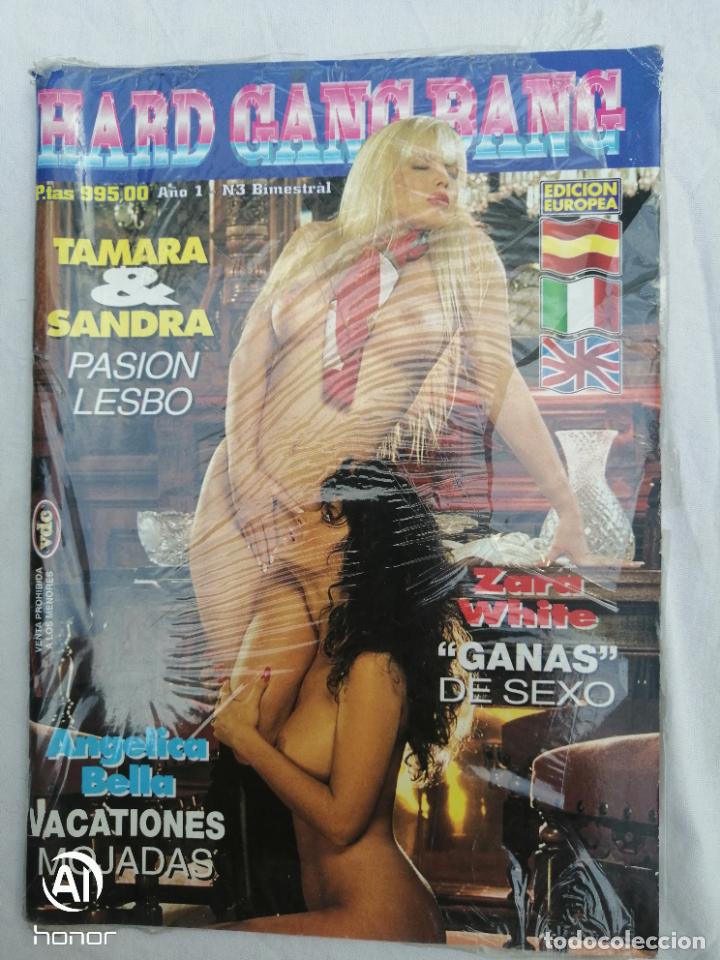 Zeitschriften: HARD GANG BANG A&Ntilde;O 1 N 3. EDICION EUROPEA. ADULTOS. PORNO. EROTICA