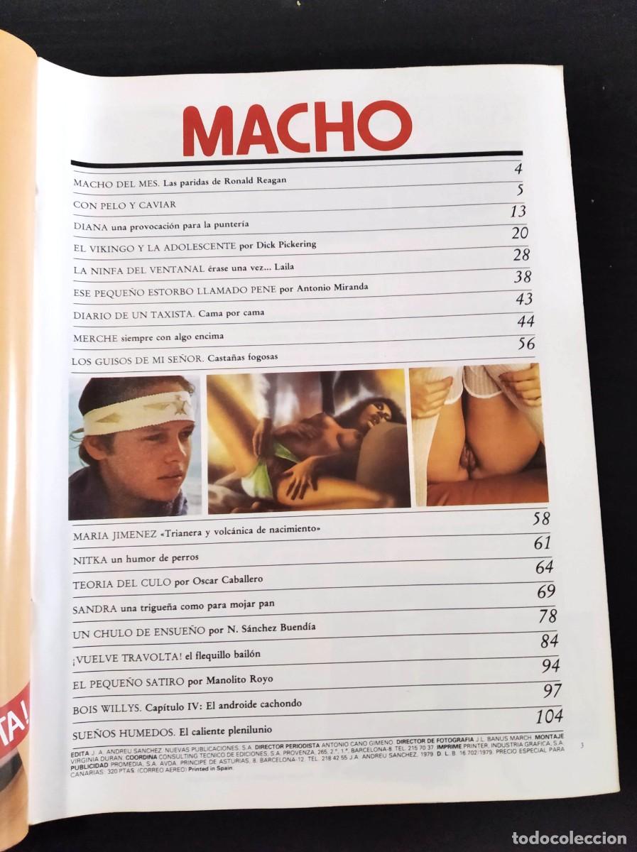 macho. nº 31. año 1979. teoría del culo. ese pe - Compra venta en  todocoleccion