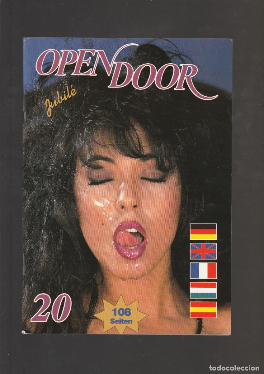 Journals: OPEN DOOR 20...........