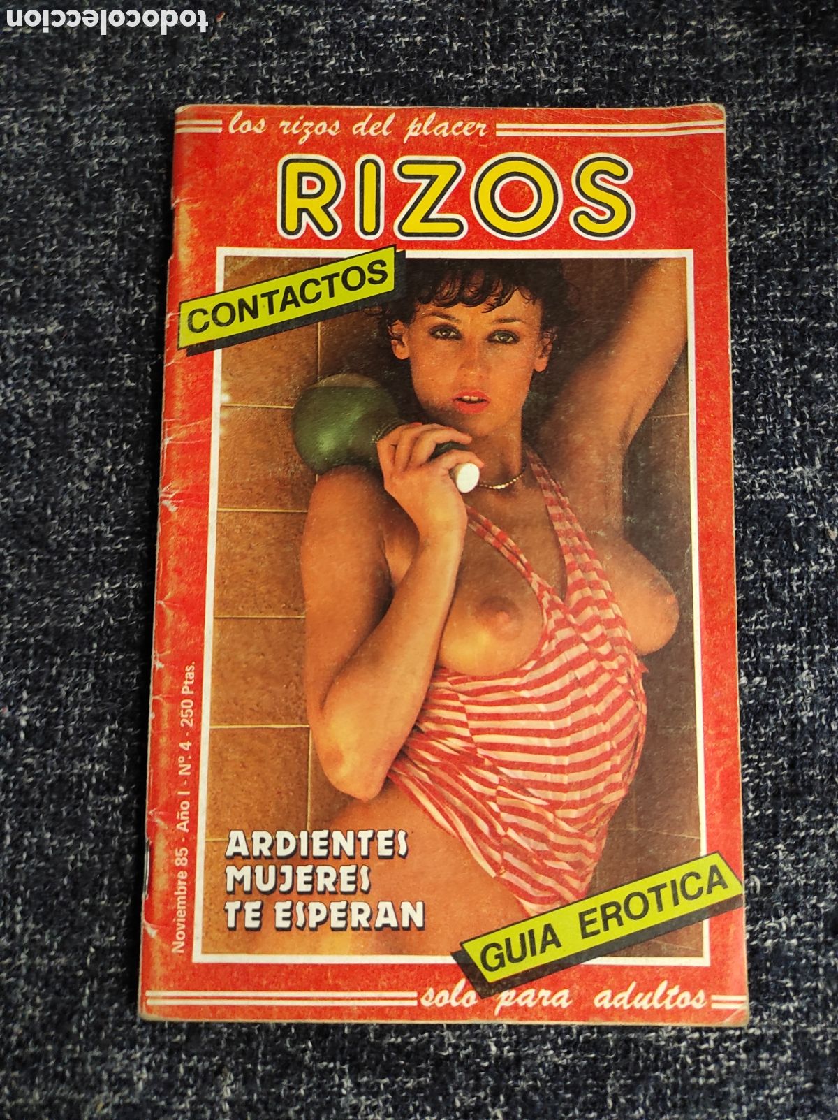 Zeitschriften: RIZOS N&ordm; 4 - REVISTA EROTICA DE LOS A&Ntilde;OS 80