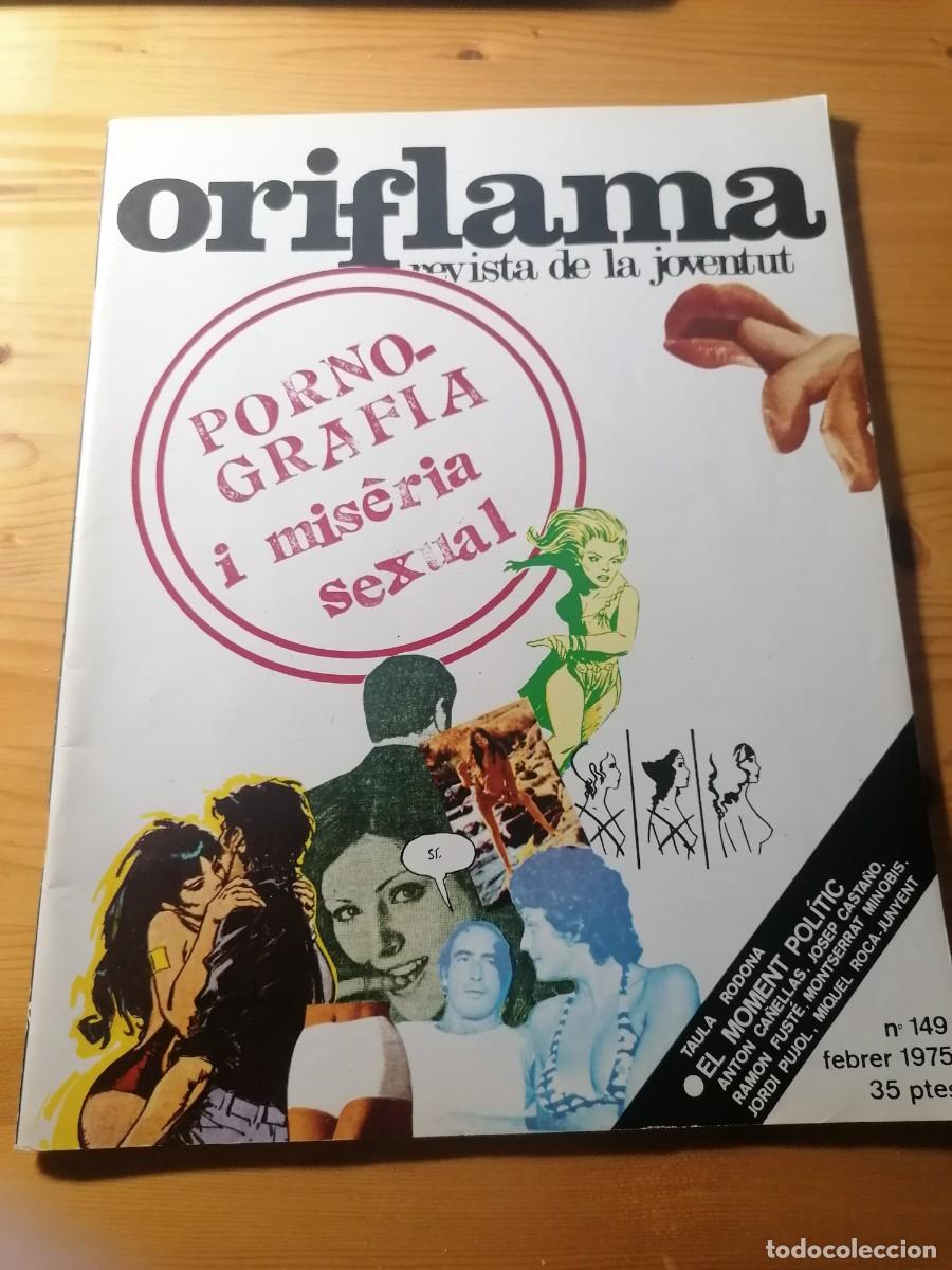 Journals: Oriflama n. 149 febrer 1975 / Xirinacs / Mollet del Vall&egrave;s / Pornografia / Dylan