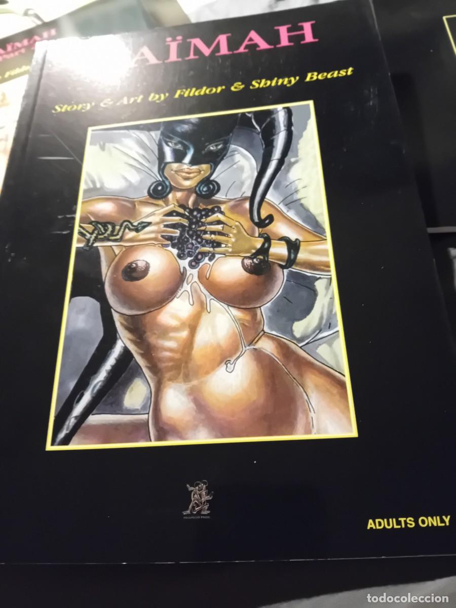 Journals: Naimah ..story and art by fildor and shiny beast