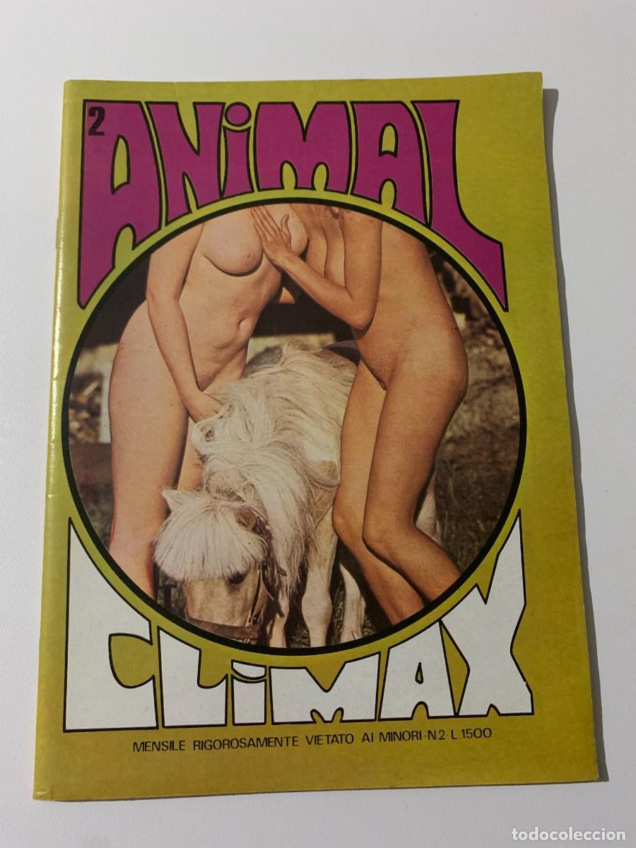 animal climax nr.2 climax magazine astra editio - Acheter Magazines pour  adultes sur todocoleccion