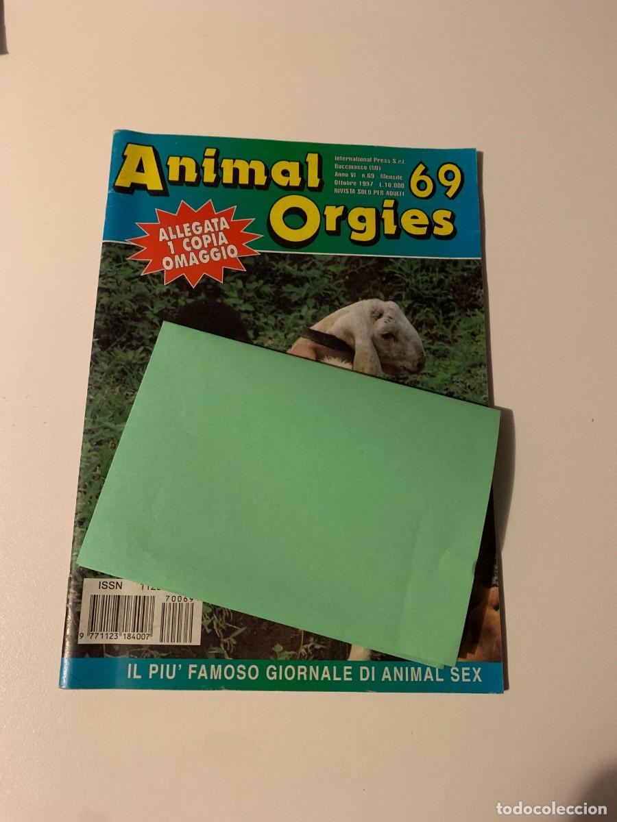 Revistas: ANIMAL ORGIES N.69 ANNO VI OTTOBRE 1997 INTERNATIONAL PRESS MAGAZINE