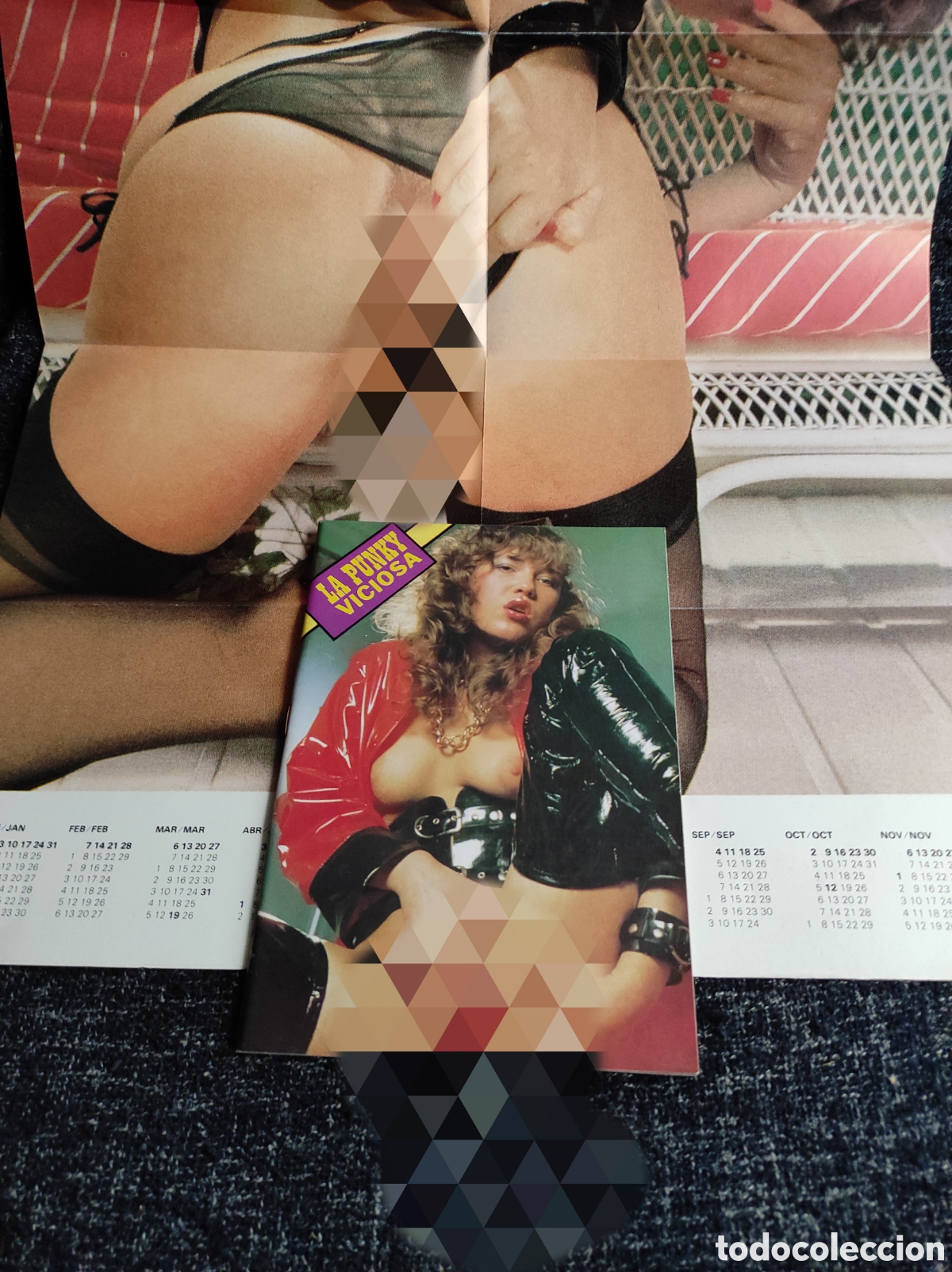 Zeitschriften: LA PUNKY VICIOSA - REVISTA PORNO DE LOS A&Ntilde;OS 90 - CONTIENE POSTER CALENDARIO GIGANTE 1988