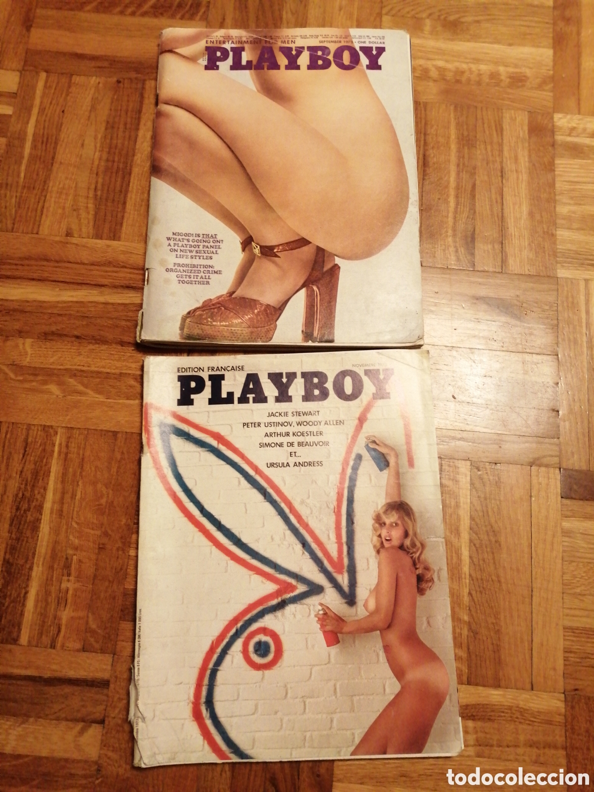 Journals: Dos Revistas Playboy
