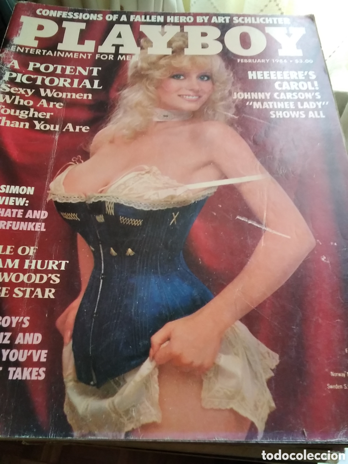 Zeitschriften: Playboy americano mensual revista er&oacute;tica desnudos mujeres 1984 febrero